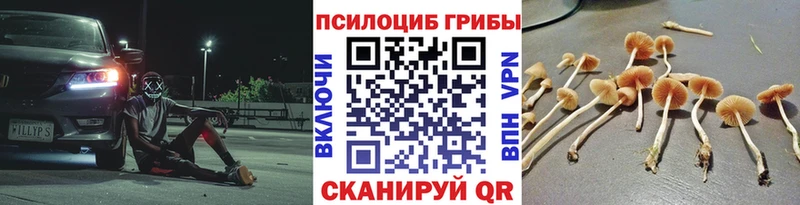 Псилоцибиновые грибы мицелий  ссылка на мегу сайт  нарко площадка Telegram  Новая Ляля 